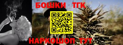 МДПВ Пенза