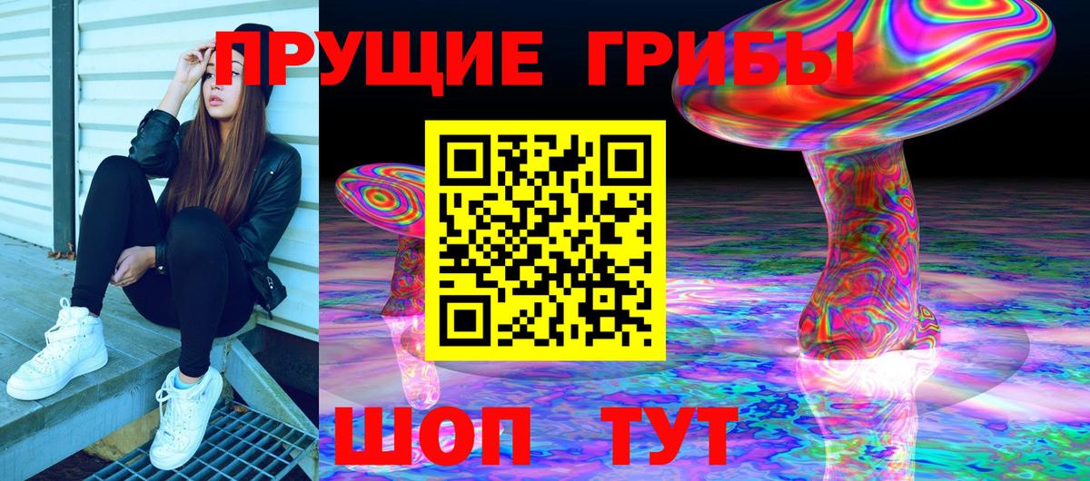 Псилоцибиновые грибы Psilocybe  Вход с VPN  дарнет шоп  Славянск-на-Кубани 